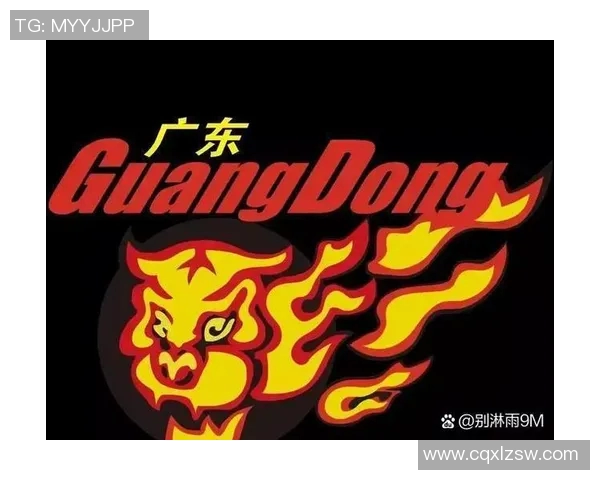 武汉篮球队实力强劲荣登全国力量排行榜第八位