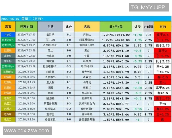 武汉足球队意识表现的数据分析与战术探讨 武汉足球队意识表现的数据分析与战术探讨
