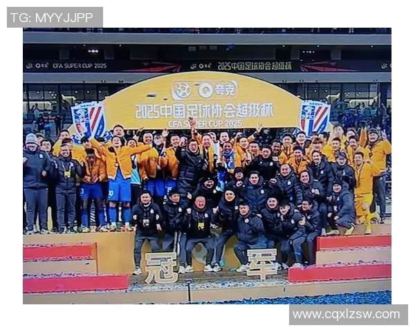 深入剖析上海足球队各队员配合默契度与战术执行力的全面对比