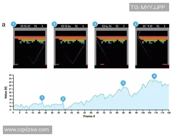 广州滑板队的节奏对比与训练策略深度解析