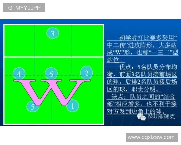 南京排球队节奏对比分析透视球队风格与战术演变