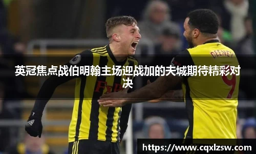 英冠焦点战伯明翰主场迎战加的夫城期待精彩对决
